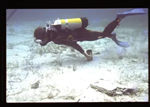 Scuba Diving Equipment Drucke: Diver on the seabed