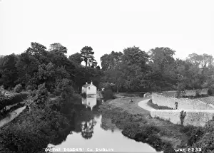Early 1900s Photography Ireland Drucke: On the Dodder, Co. Dublin