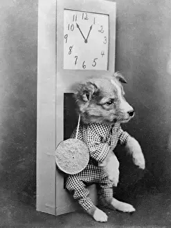 Hund mit Uhr