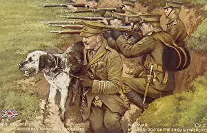 British Soldiers In Trenches Drucke: Dog Guards Trenches
