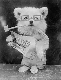 Vintage Dog Illustration Drucke: Dog, Pipe and Newspaper