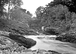 Grafschaft Londonderry Drucke: Hunde springen, R.Roe,Limavady,Co.Londonderry