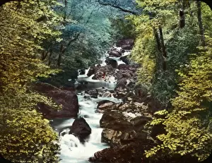 Lantern Slide Artwork Drucke: Dolgelley Forest