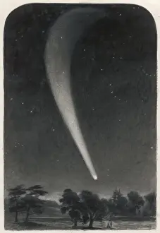 Natural History Images Drucke: Donatis Comet