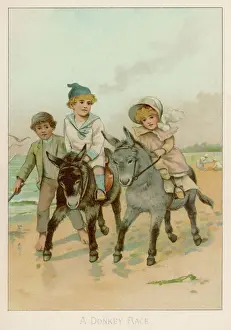Antique Illustration Art Drucke: A Donkey Race
