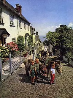 Esel in Clovelly, Devon