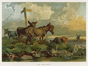 Vintage Animal Prints Online Drucke: Donkeys / Meadow 1862