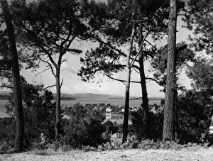 Dorset Landschaft