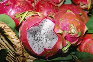 Dragon Fruit Drucke: Dragon Fruit