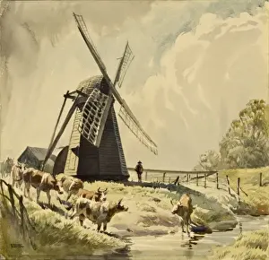 Rural Farming Scene Drucke: Draining Mill, Herringfleet with cattle
