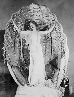 Gekrönter Venus