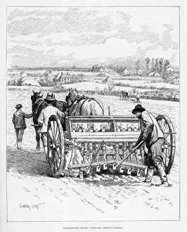 Barley Cultivation Drucke: Drilling Barley