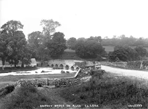 Drucke von Brücke von Dripsey am R.Lee, Co.Cork - Blick auf eine alte Steinbrücke über den Fluss.(Standort: Republik Irland; Grafschaft Cork ;Drupsy) Datum : umfangreiche Frühjahr 1900er Kork Drucke: Tropfseesbrücke auf der R.Lee in County Cork
