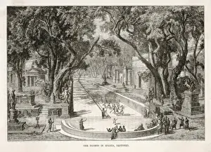 Ancient Greek Athletics Drucke: Dromos, Sparta