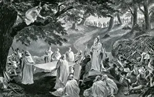 Die Druiden schneiden Mistletoe