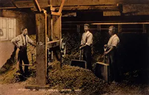 Historical Hop Cultivation Drucke: Drying Hops 1906