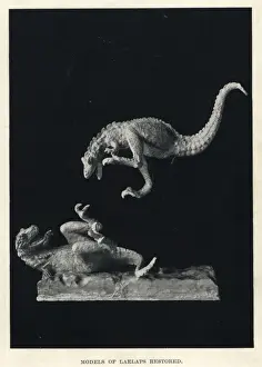 Dryptosaurus aquilunguis kämpft