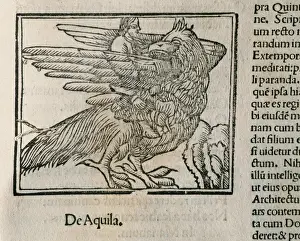 Eule, Epigramme von Martial