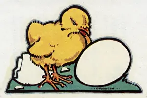 Easter Card Design Drucke: Easter Card design, chick hatched from an egg