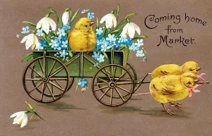 Easter Holiday Traditions Drucke: Customs / Easter / Chicks