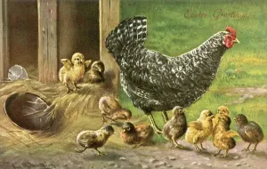 Easter Postcard Drucke: Proverbs / Counting Chicks