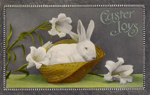 Weißer Rabe Ostern 1912