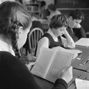 Vintage Education Images Drucke: Education, reading