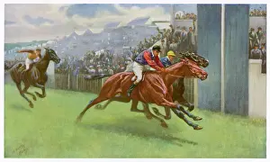 Edwards Persimmon / Derby