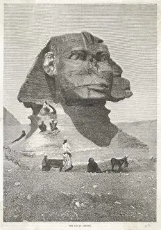Egyptian Antiquities Drucke: Egypt / Sphinx / Detail / 1879