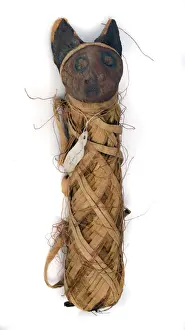 Drucke von Fotografie eines ägyptischen mumifizierten Katzenhauses Verwandte Bilder Drucke: Ägyptischer mummiertes Katze