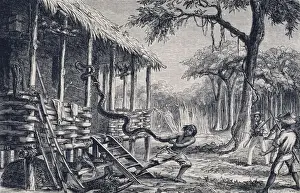 Nineteenth Century Animal Art Drucke: Ejecting an intruder