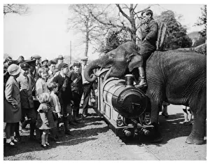 Chessington Zoo Animals Drucke: Elephant & Children