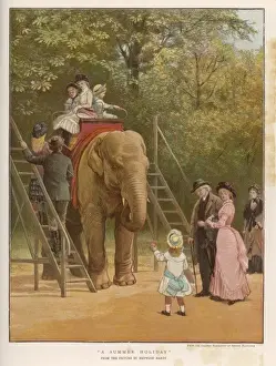 Ritt des Elefanten