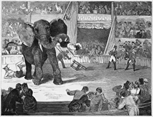 Drucke von Während einer Aufführung des Zirkus Lorch in Linz (Österreich) wendet sich der Elefant von den Clowns ungeduldig ab und schlägt sie an. Gut gemacht, Jumbo Linz Drucke: Riesen/ Zirkus Lorch