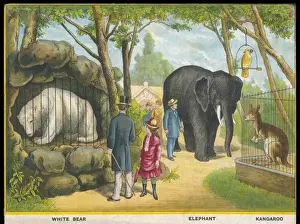 Vintage Zoo Pictures Drucke: Elephants and Kangaroos