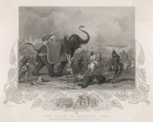 Elefanten/Sieg im Moor von Mooltan