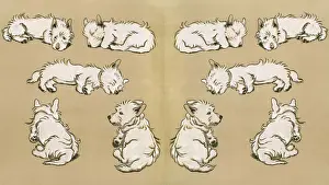 Titeldesign von Cecil Aldin, Mac