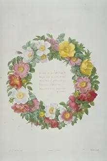 Pierre Joseph Redoute Prints Drucke: Endpiece wreath