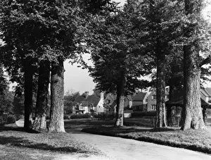 Buckinghamshire England Drucke: England / Chenies