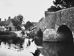 England/Eynesford