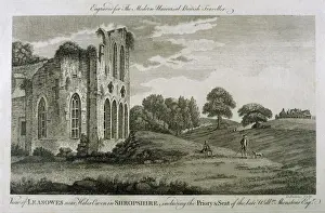 Shropshire Drucke: England / Leasowes