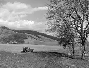 Surrey Landscape Photography Drucke: England / The North Downs