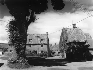 Thatched Cottages England Drucke: England / Shenington