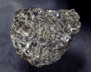Natural History Museum Drucke: Enstatite