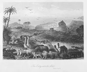 Bible Story Illustrations Online Drucke: Entry into the ark