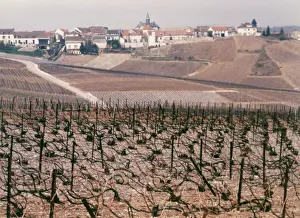 Weingut Epernay, 1987