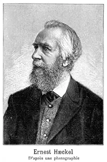 Historical Figures In Science Drucke: Ernst Haeckel - 3