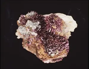 Natural History Museum Specimens Drucke: Erythrite