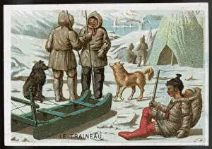 Sled Dogs In Winter Drucke: Eskimos Sledge