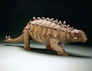Armoured Dinosaurs Drucke: Euoplocephalus